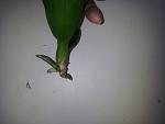     
: 2013-12-11 10.56.12.jpg
: 14
:	77.3 
ID:	7636258