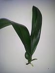    
: 2013-12-11 10.55.55.jpg
: 14
:	45.6 
ID:	7636259