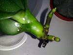     
: 2014-02-05 15.28.47.jpg
: 14
:	80.0 
ID:	7636267