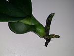     
: 2014-02-05 16.15.16.jpg
: 17
:	102.9 
ID:	7636588