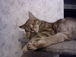     
: IMG_20140112_190123.jpg
: 7
:	84.2 
ID:	7636976