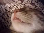     
: IMG_20140108_001209.jpg
: 8
:	76.1 
ID:	7636979