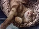     
: IMG_20140108_000742.jpg
: 10
:	87.4 
ID:	7636982