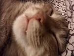     
: IMG_20140108_000754.jpg
: 8
:	69.1 
ID:	7636983