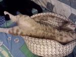     
: IMG_20140108_000705.jpg
: 8
:	96.5 
ID:	7636984