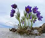    
: images.jpg
: 6
:	10.6 
ID:	7639470