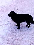     
: IMAG0554.jpg
: 17
:	78.7 
ID:	7641567