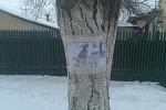     
: IMAG0145.jpg
: 2
:	146.5 
ID:	7643572