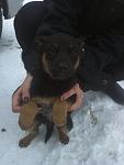     
: IMG1823.jpg
: 6
:	50.9 
ID:	7644653