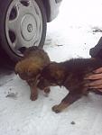     
: IMG1829.jpg
: 7
:	59.4 
ID:	7644654