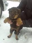     
: IMG1827.jpg
: 6
:	60.3 
ID:	7644669