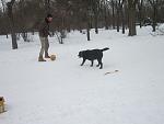     
: IMG_6536.jpg
: 7
:	90.4 
ID:	7649719