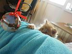     
: P4020087.jpg
: 9
:	124.2 
ID:	7652042