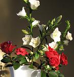    
:  2014 020.jpg
: 4
:	100.6 
ID:	7654005