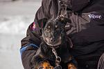     
: DSC_0530[2].jpg
: 4
:	104.4 
ID:	7655502