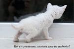     
: DSC_1297.jpg
: 9
:	27.8 
ID:	7655674