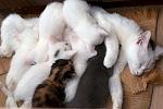     
: DSC_1333.jpg
: 22
:	41.8 
ID:	7655677