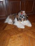     
: DSCN1190.jpg
: 9
:	93.7 
ID:	7655811