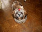     
: DSCN1177.jpg
: 4
:	124.9 
ID:	7655817