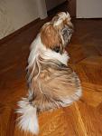     
: DSCN1194.jpg
: 6
:	84.6 
ID:	7655818