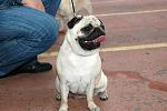     
: DSC_1615 .jpg
: 50
:	111.5 
ID:	765602
