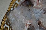     
: DSC_0088.jpg
: 1092
:	119.3 
ID:	7656734