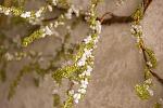     
: DSC_0073.jpg
: 11
:	94.7 
ID:	7658661