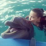    
: IMG_20140209_183037.jpg
: 31
:	100.1 
ID:	7663244