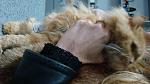     
: DSC06226.jpg
: 8
:	99.0 
ID:	7669041