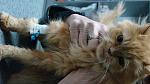     
: DSC06225.jpg
: 5
:	90.5 
ID:	7669044