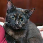     
: DSC_1624.jpg
: 3
:	53.1 
ID:	7670060