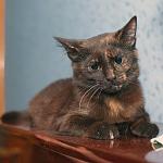     
: DSC_1641.jpg
: 4
:	52.7 
ID:	7670061