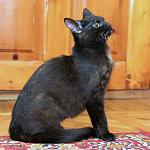     
: DSC_1648.jpg
: 3
:	61.5 
ID:	7670062