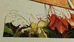     
: IMAG0556.jpg
: 69
:	140.7 
ID:	7674671