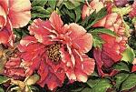     
: Dimensions 70-35298 Coral Peonies.jpg
: 64
:	104.7 
ID:	7674674