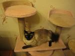     
: IMG_4131.jpg
: 6
:	90.9 
ID:	7676145