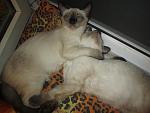     
: IMG_3913.jpg
: 20
:	115.3 
ID:	7676432