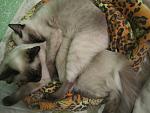     
: IMG_0011.jpg
: 20
:	116.3 
ID:	7676433
