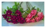     
: 20140212_164436.jpg
: 9
:	110.6 
ID:	7678772