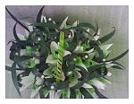     
: 20140212_162823.jpg
: 8
:	117.7 
ID:	7678834