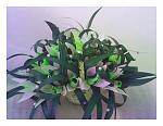     
: 20140212_162658000.jpg
: 6
:	116.0 
ID:	7678835