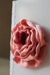     
: IMG_5915.jpg
: 4
:	51.7 
ID:	7683469