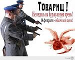     
: 1653789_789451241082250_1228512142_n.jpg
: 21
:	28.2 
ID:	7686973