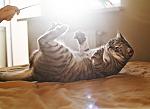     
: IMG_6612_.jpg
: 9
:	87.0 
ID:	7688216