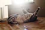     
: IMG_6613_.jpg
: 10
:	79.2 
ID:	7688217