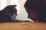     
: фото_.jpg
: 6
:	54.8 
ID:	7688218