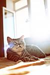     
: IMG_6600_.jpg
: 7
:	48.3 
ID:	7688219
