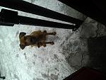     
: 20140121_221224.jpg
: 13
:	160.4 
ID:	7697825