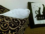     
: 15022014(001).jpg
: 31
:	173.7 
ID:	7698998