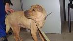     
: DSC09660.jpg
: 10
:	75.6 
ID:	7699486